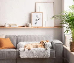 Dehner Lieblinge Hundesofa Taro, quadratisch, Weiß New