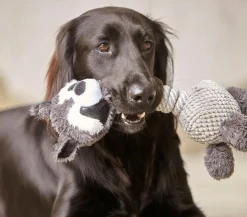 Dehner Lieblinge Hundespielzeug Racoon Grau Best