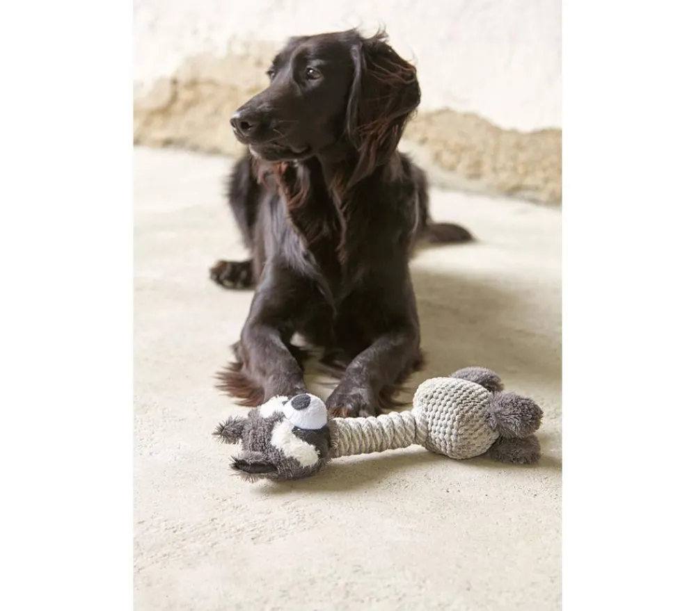Dehner Lieblinge Hundespielzeug Racoon Grau Best