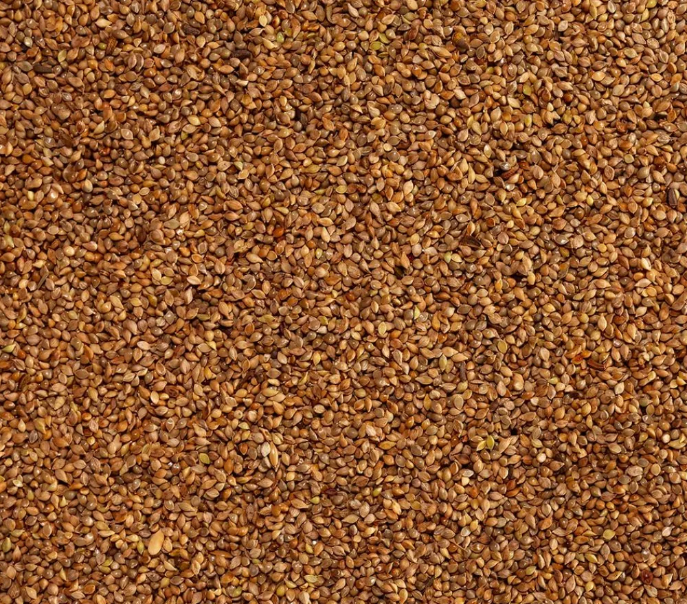 Dehner Lieblinge Kleintierfutter|Vogelfutter & Snacks > Japanhirse, 1 kg