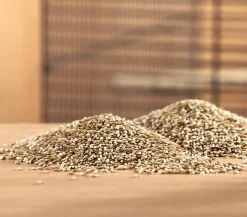 Dehner Lieblinge Kleintierfutter|Vogelfutter & Snacks - Kanariensaat, 1 kg