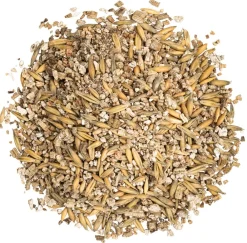 Dehner Lieblinge Nahrungsergänzung Katze > Katzengras, 2 x 100 g
