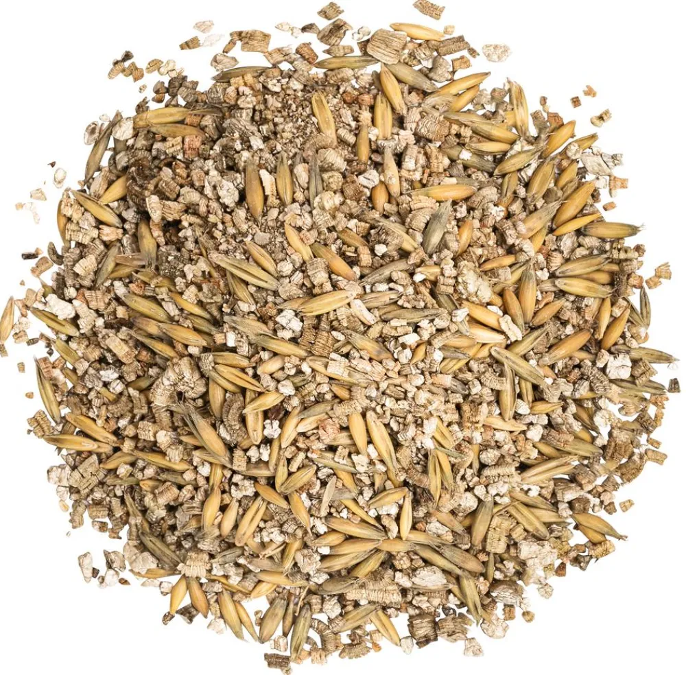 Dehner Lieblinge Nahrungsergänzung Katze > Katzengras, 2 x 100 g