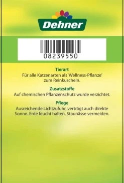 Dehner Lieblinge Grünpflanzen > Katzenminze - Nepeta cataria