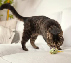Dehner Lieblinge Katzenspielzeug Spielmäuse Funny, 2er-Set Clearance