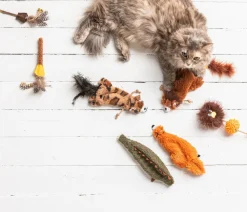 Dehner Lieblinge Katzenspielzeug - Katzenspielzeugm Little Leopard, ca. B16,5/H29 cm