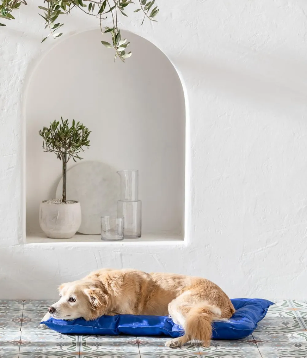 Dehner Lieblinge Kühlmatte Lilo, rechteckig, , ca. B75/H7/T50 cm Blau Outlet