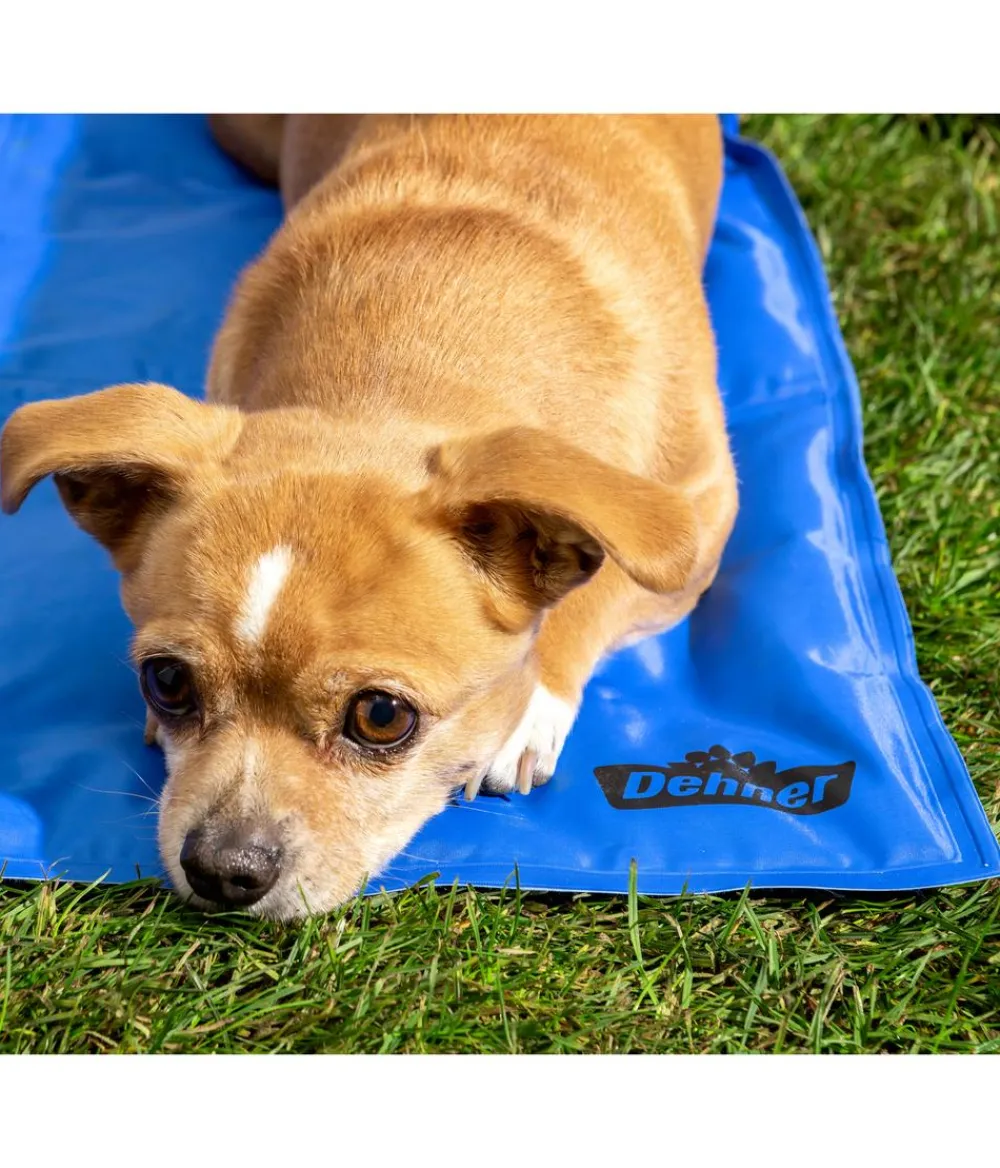 Dehner Lieblinge Mehr Transport & Unterwegs|Hundedecken > Kühlmatte Refresh, rechteckig,
