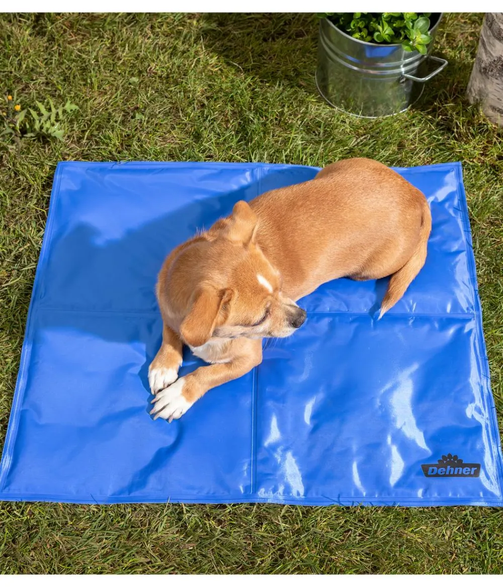 Dehner Lieblinge Mehr Transport & Unterwegs|Hundedecken > Kühlmatte Refresh, rechteckig,