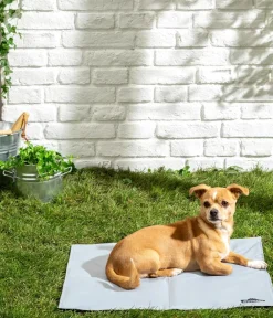 Dehner Lieblinge Mehr Transport & Unterwegs|Hundedecken - Kühlmatte Refresh, rechteckig, grau Hellgrau