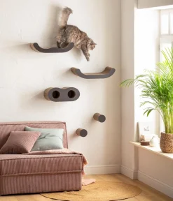 Dehner Lieblinge Mehr Schlaf- & Kratzmöbel > Kletterwand Sidney, 5-teilig