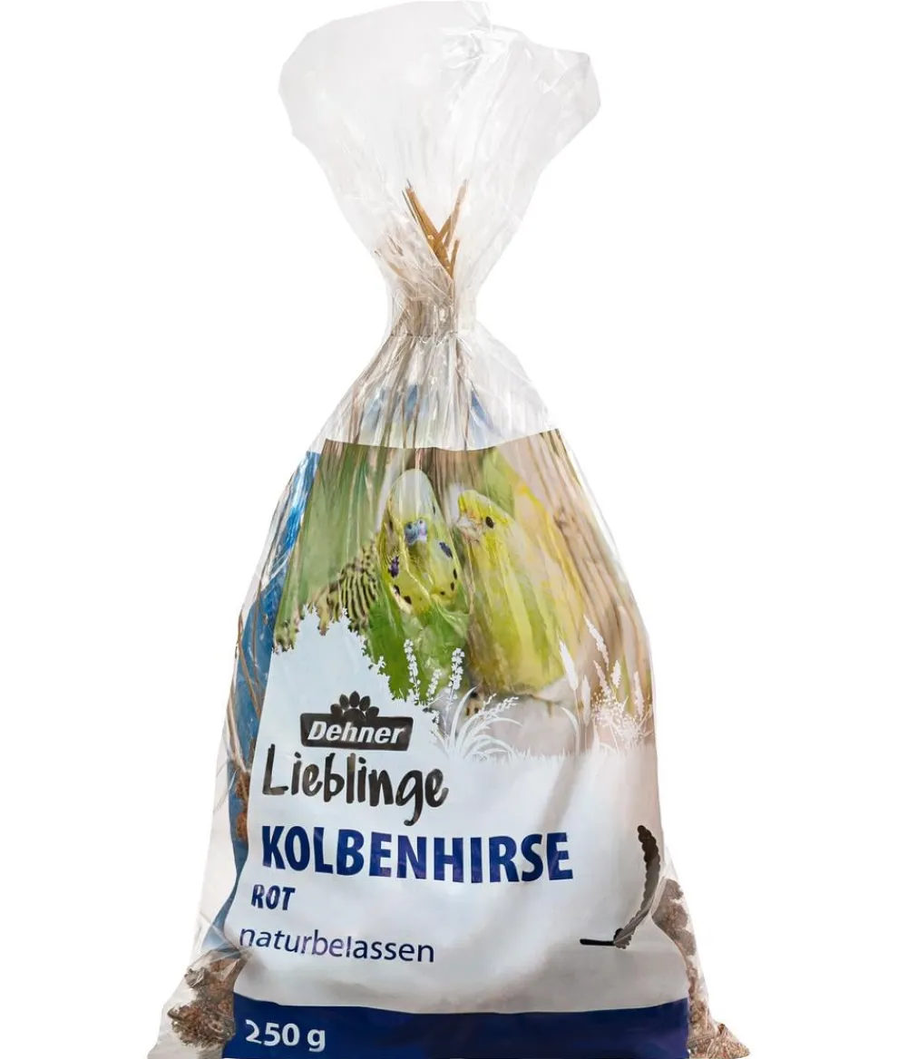 Dehner Lieblinge Kolbenhirse, rot New