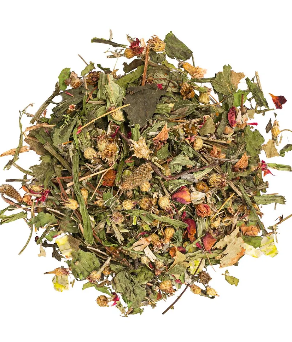 Dehner Lieblinge Kräuter-Oase, 6x150 g Clearance