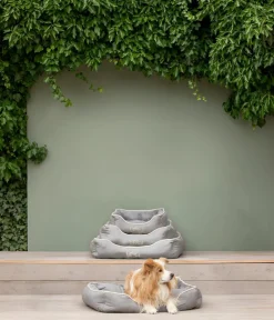 Dehner Lieblinge Hundebetten & Körbe|Katzenbetten & Katzenkissen - Kuchebett ay, rechteckig, Grau