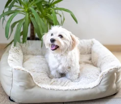 Dehner Lieblinge Hundebetten & Körbe|Katzenbetten & Katzenkissen - Kuschebett Casi, rechteckig, /