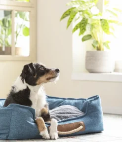 Dehner Lieblinge Kuchebett Cyru, rechteckig, Blau Discount