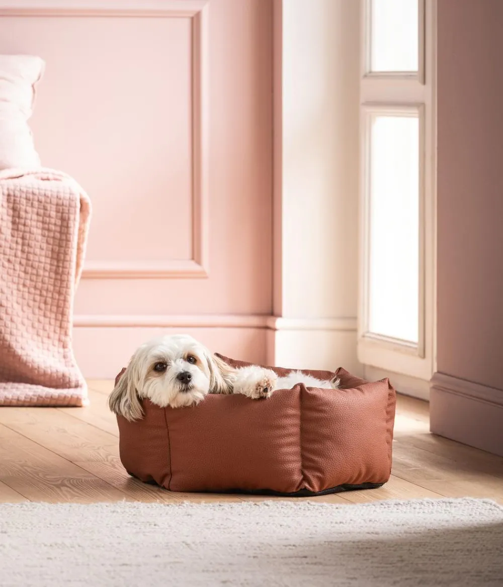 Dehner Lieblinge Hundebetten & Körbe|Katzenbetten & Katzenkissen - Kuschelbett Cora, rund, , ca. B75/H19/T75 cm Braun