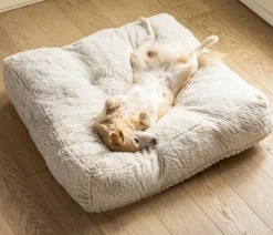 Dehner Lieblinge Kuschelkissen Chichi, rechteckig, , ca. B90/H20/T90 cm Weiß Best