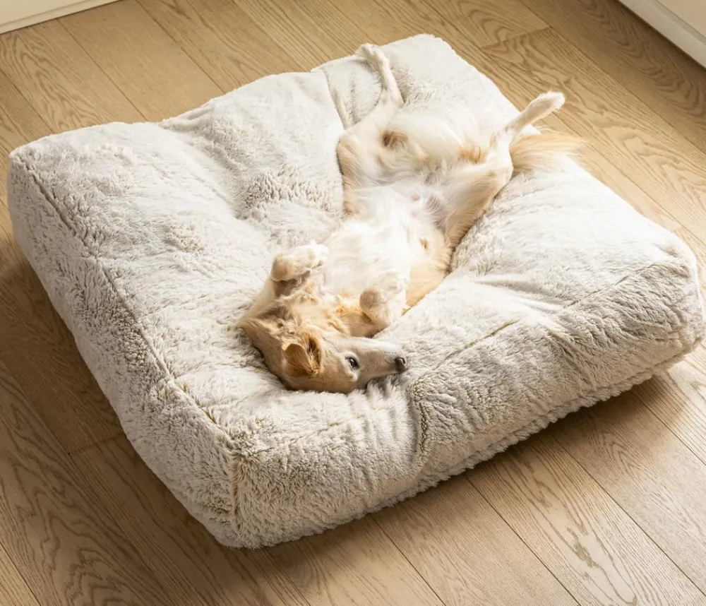 Dehner Lieblinge Kuschelkissen Chichi, rechteckig, , ca. B90/H20/T90 cm Weiß Best