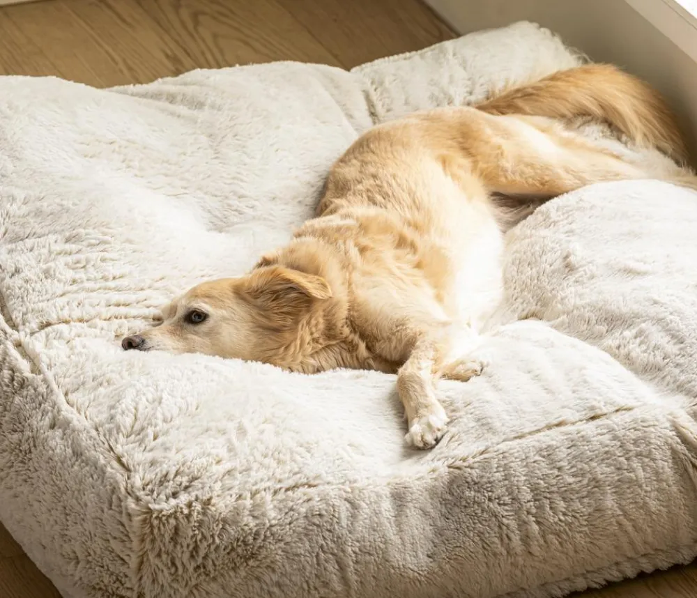 Dehner Lieblinge Kuschelkissen Chichi, rechteckig, , ca. B90/H20/T90 cm Weiß Best
