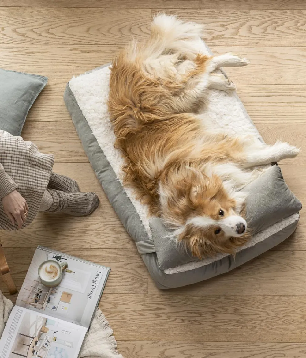 Dehner Lieblinge Hundekissen|Katzenbetten & Katzenkissen > Kuschekissen Duchesse, rechteckig