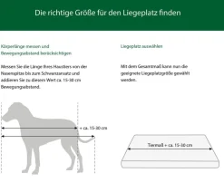 Dehner Lieblinge Kuschekissen Arctica, rechteckig, Weiß Clearance