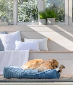 Dehner Lieblinge Hundekissen|Katzenbetten & Katzenkissen - Kuschekissen Rokoko, rechteckig, petro Blau