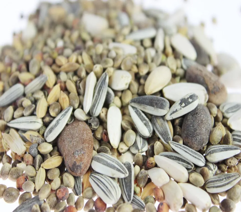 Dehner Lieblinge Vogelfutter & Snacks > Leckerbissen für Großsittiche und Zwergpapageien, 20 g