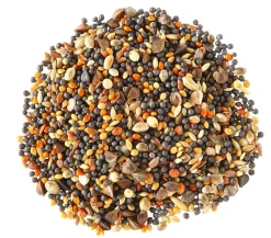 Dehner Lieblinge Vogelfutter & Snacks > Leckerbissen für Kanarien, 20 g