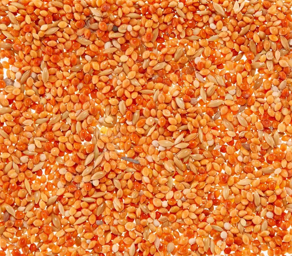 Dehner Lieblinge Leckerbissen für Sittiche und Exoten, 20 g Best