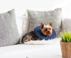 Dehner Lieblinge Katzenpflege|Artikel Zur Nachsorge > Leckschutzkragen für Hunde & Katzen
