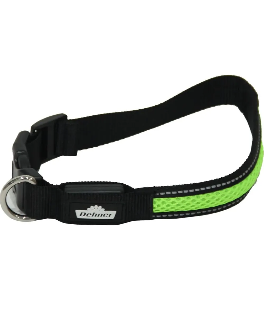 Dehner Lieblinge Hundehalsbänder & Geschirre - LED-Hundehalsband Flash Collar, grün Hellgrün