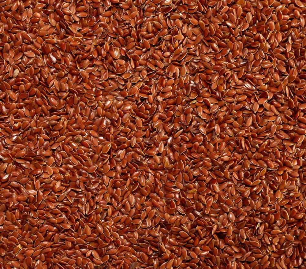 Dehner Lieblinge Kleintierfutter|Vogelfutter & Snacks > Leinsamen, 1 kg