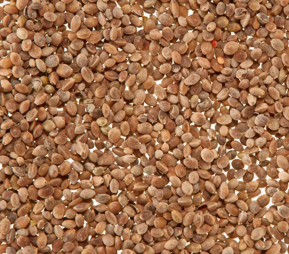 Dehner Lieblinge Mauserhilfe für Großsittiche und Papageien, 20 g Outlet