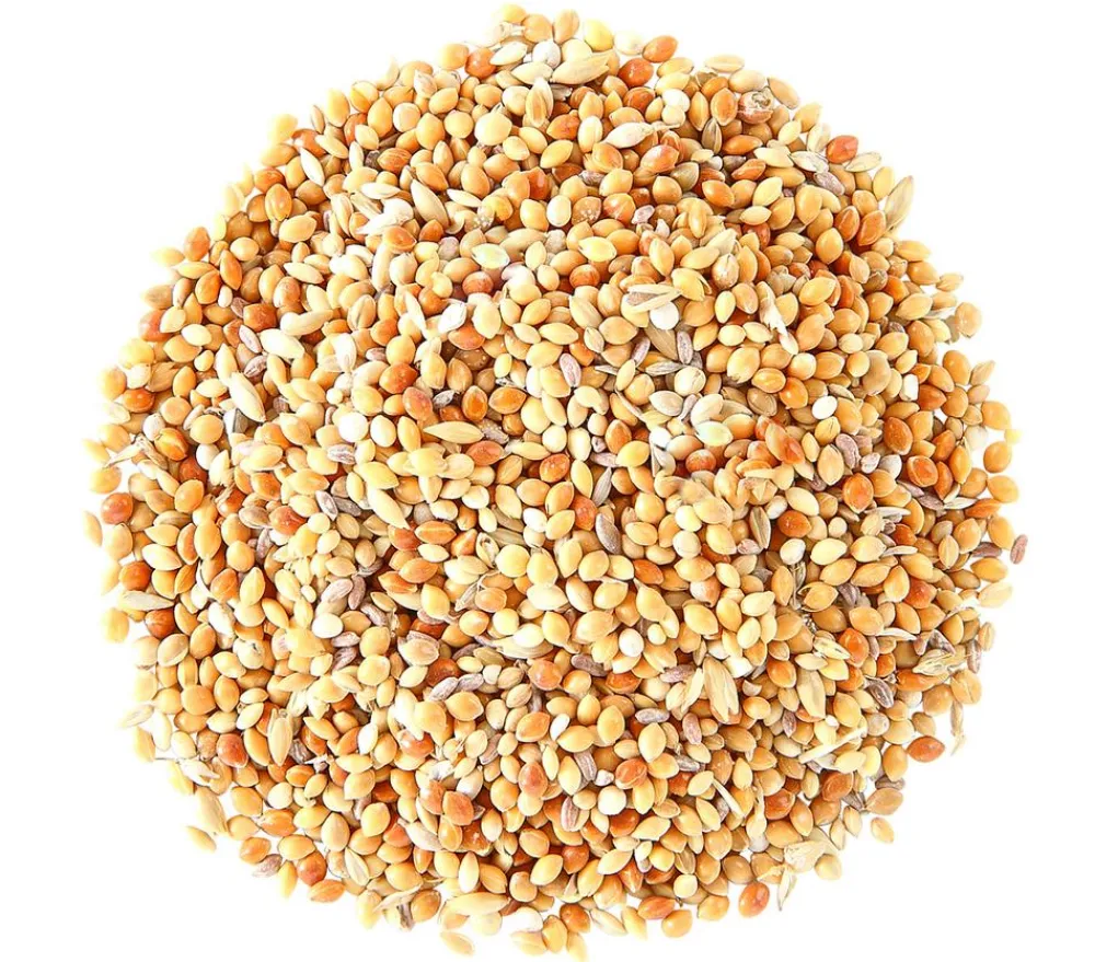 Dehner Lieblinge Vogelfutter & Snacks - Mauserhilfe für Sittiche und Exoten, 20 g
