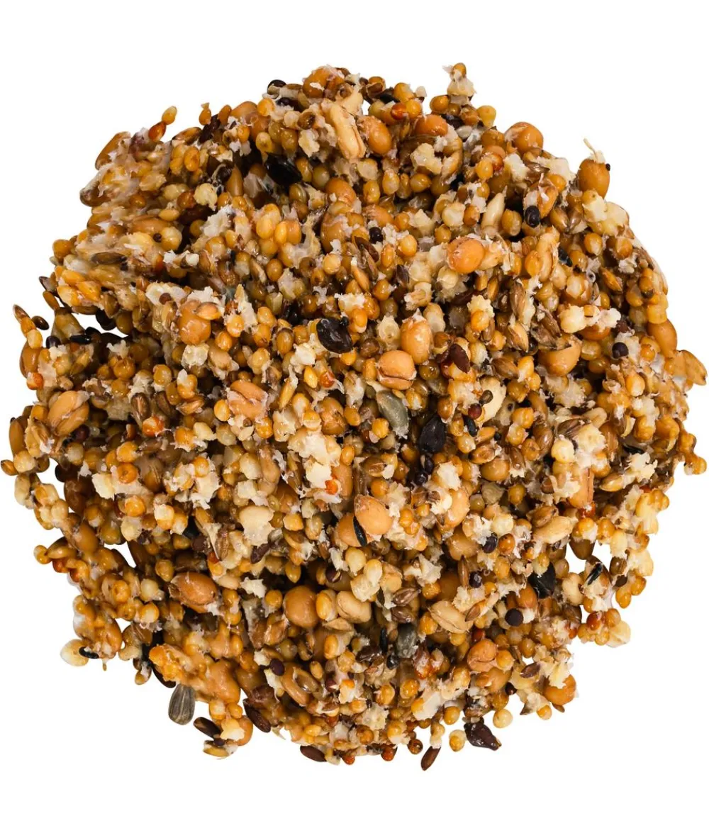 Dehner Lieblinge Nagersnacks - Nagersprossen für Meerschweinchen & Kaninchen, Junior, 210 ml