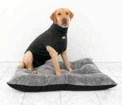 Dehner Lieblinge Pot-OP-Body, Schwarz Sale