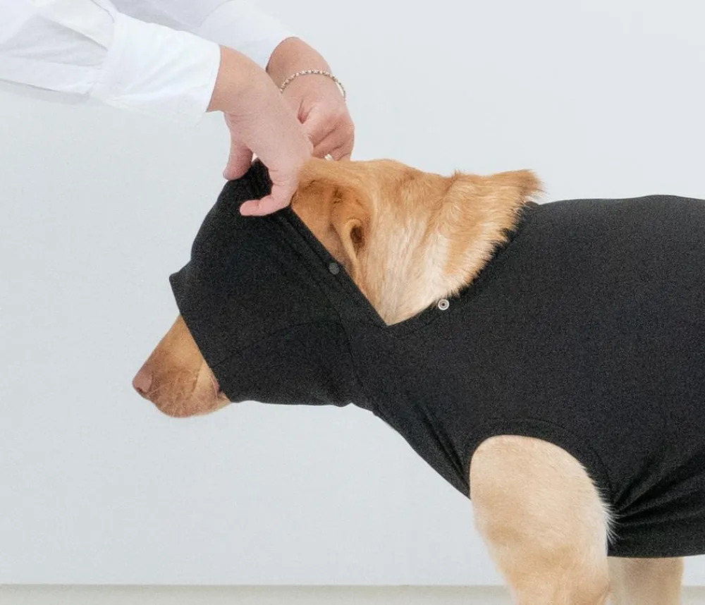 Dehner Lieblinge Pot-OP-Body, Schwarz Discount