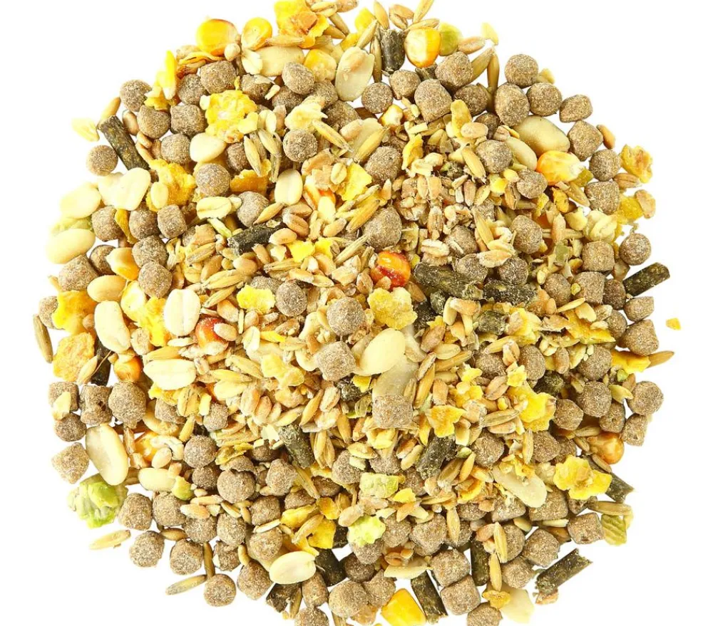 Dehner Lieblinge Ratten-Futter, 500 g New