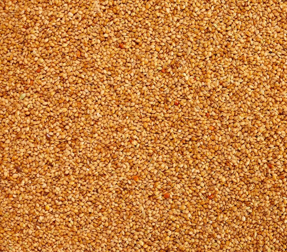 Dehner Lieblinge Kleintierfutter|Vogelfutter & Snacks > Senegalhirse, 1 kg