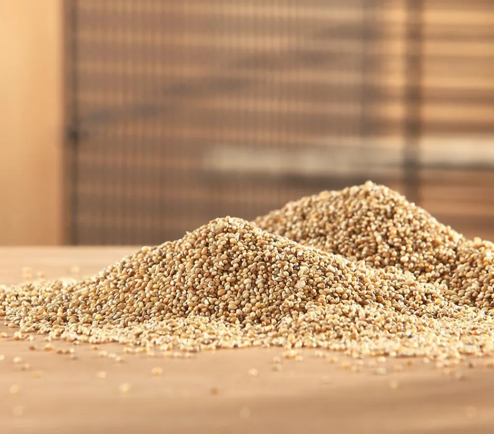 Dehner Lieblinge Kleintierfutter|Vogelfutter & Snacks > Senegalhirse, 1 kg