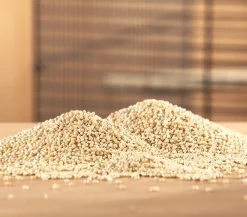 Dehner Lieblinge Silberhirse, 1 kg Sale