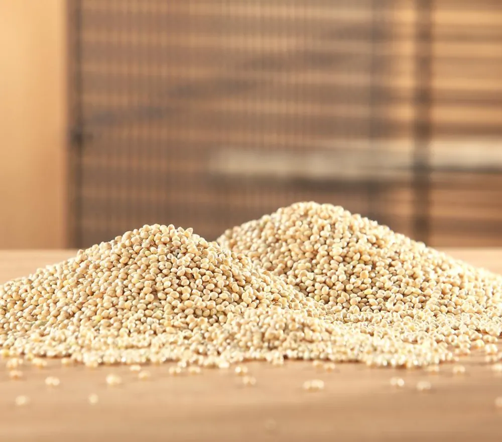 Dehner Lieblinge Silberhirse, 1 kg Sale
