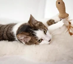 Dehner Lieblinge Katzenspielzeug > Spielangel Fish