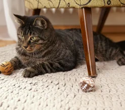 Dehner Lieblinge Katzenspielzeug - Spielbälle Safari, 4er-Set