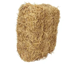 Dehner Lieblinge Stroh & Streu|Bauernhof Zubehör > Strohballen, 7 kg
