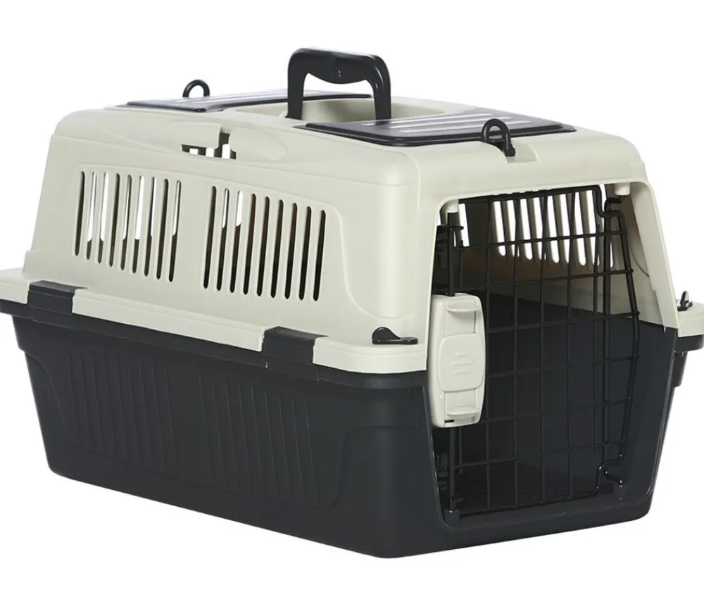 Dehner Lieblinge Tranportbox Dino