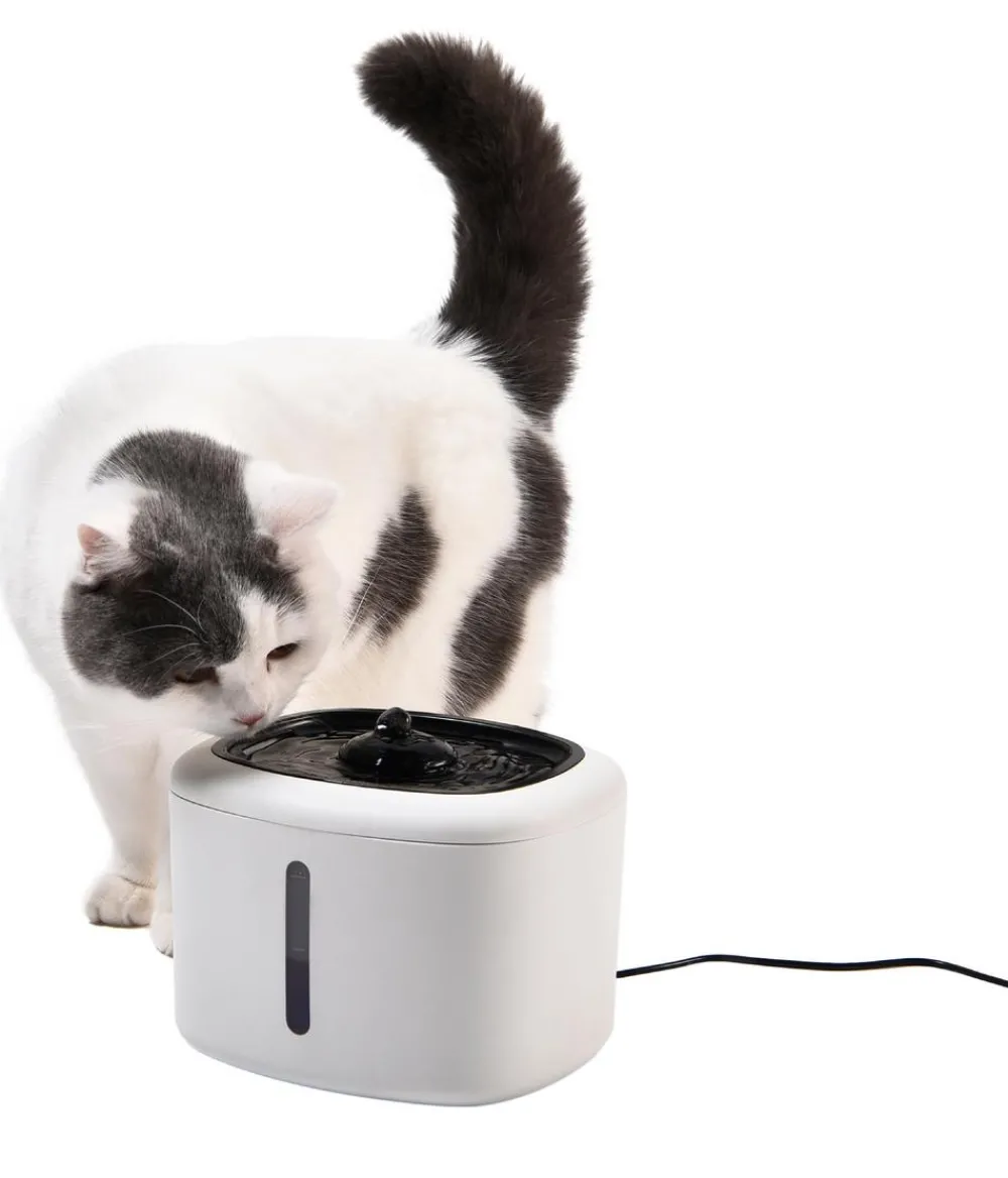 Dehner Lieblinge Trinkbrunnen USB, , 2,5 l Weiß Clearance