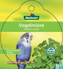 Dehner Lieblinge Vogelmiere - Stellaria media Grün Best