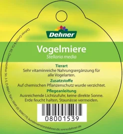 Dehner Lieblinge Vogelmiere - Stellaria media Grün Best